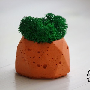 Nyolcszögű beton kaspó zuzmóval - otthon & életmód - dekoráció - virágdísz és tartó - cserép & kaspó - Meska.hu