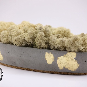 Natúr zuzmó beton tálban arany füstfóliával - Meska.hu