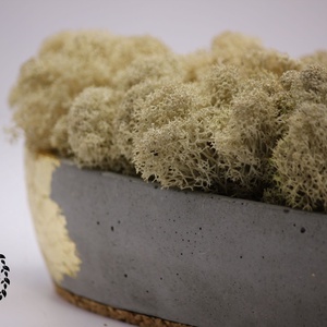 Natúr zuzmó beton tálban arany füstfóliával - esküvő - dekoráció - asztaldísz - Meska.hu