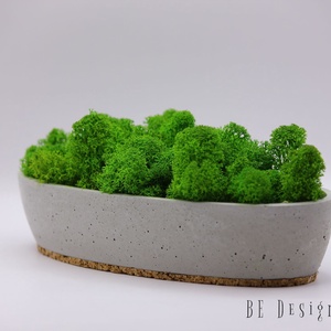Világos zöld zuzmó beton tálban  - otthon & életmód - virágdekoráció - virágdíszek - asztali virágdísz - Meska.hu