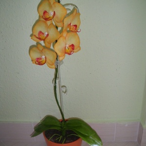  agyag orchidea - phalaenopsis narancs/sárga -  - Meska.hu