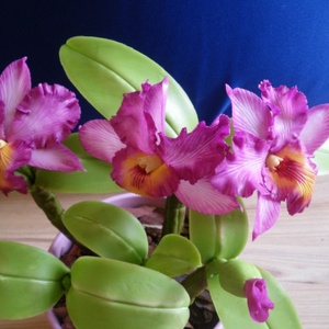 rózsaszín cattleya - agyag orchidea  -  - Meska.hu