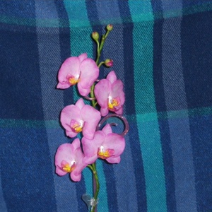 rózsaszín agyag orchidea - phalaenopsis -  - Meska.hu