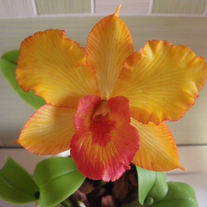 cattleya orchidea agyagból, 1 virággal - narancssárga -  - Meska.hu