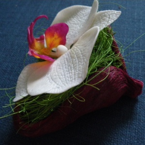 phalaenosis (lepke) orchidea virág termésben - fehér -  - Meska.hu