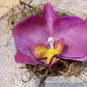 agyag orchidea fél kókuszdióban - otthon & életmód - dekoráció - asztal és polc dekoráció - asztaldísz - Meska.hu