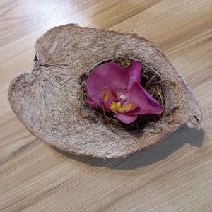 agyag orchidea fél kókuszdióban, Otthon & Életmód, Dekoráció, Asztal és polc dekoráció, Asztaldísz, Agyagozás, MESKA