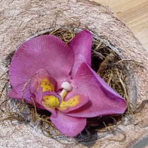 agyag orchidea fél kókuszdióban - otthon & életmód - dekoráció - asztal és polc dekoráció - asztaldísz - Meska.hu