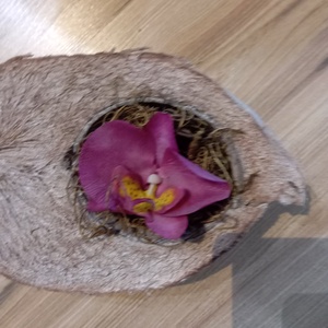 agyag orchidea fél kókuszdióban - otthon & életmód - dekoráció - asztal és polc dekoráció - asztaldísz - Meska.hu