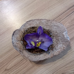 agyag orchidea fél kókuszdióban, Otthon & Életmód, Dekoráció, Asztal és polc dekoráció, Asztaldísz, Agyagozás, MESKA