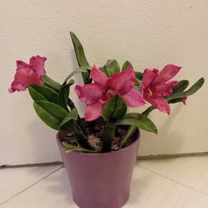 rózsaszín cattleya - agyag orchidea , Otthon & Életmód, Dekoráció, Dísztárgy, Festett tárgyak, Kerámia, MESKA