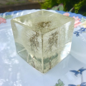 Pitypang papírnehezék-műgyanta kocka - otthon & életmód - dekoráció - Meska.hu