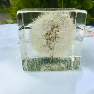 Pitypang papírnehezék-műgyanta kocka - otthon & életmód - dekoráció - Meska.hu