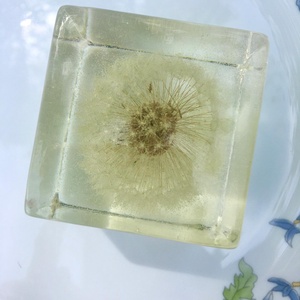 Pitypang papírnehezék-műgyanta kocka - otthon & életmód - dekoráció - Meska.hu