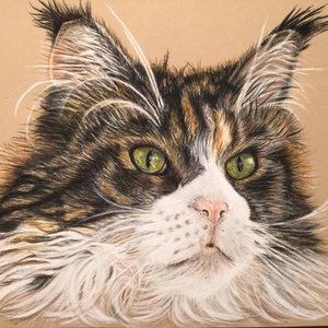 Cica/Kitten (pastel) - Meska.hu