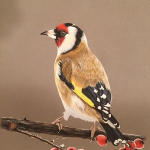 Tengelic/Goldfinch, Zsűrizett festmény/Jury painting - Meska.hu