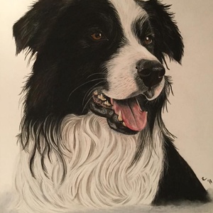 Border Collie, Zsűrizett/Jury painting - Meska.hu