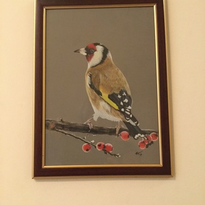 Tengelic/Goldfinch, Zsűrizett festmény/Jury painting - művészet - festmény - pasztell - Meska.hu