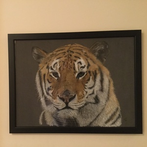 Tigris/Tiger, Zsűrizett festmény/Jury painting - művészet - festmény - pasztell - Meska.hu