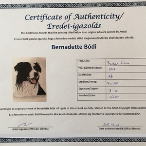 Border Collie, Zsűrizett/Jury painting - művészet - festmény - pasztell - Meska.hu