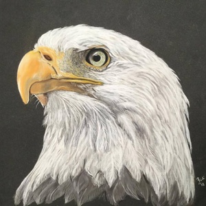Sas/Eagle, Zsűrizett festmény/Jury painting, Művészet, Pasztell, Festmény, Festészet, Meska