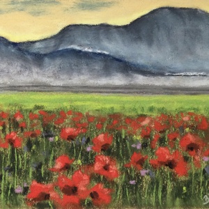 Pipacsok - művészet - festmény - akvarell - Meska.hu