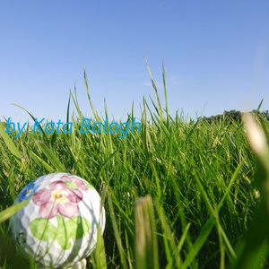 Csendélet golflabdával - fotó/poszter/falidísz, Művészet, Fotográfia, Tájkép, Fotó, grafika, rajz, illusztráció, MESKA