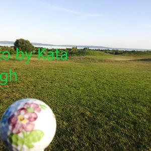 Virágos golflabda repül a balatoni golfpályán - fotó/poszter/falidísz, Művészet, Fotográfia, Tájkép, Fotó, grafika, rajz, illusztráció, MESKA