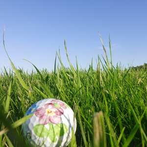 Golflabda fűben, herendi virággal - vászonkép - művészet - fotográfia - tájkép - Meska.hu