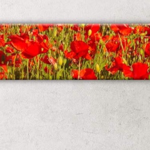 Nagyon pipacs (120x20 cm) - festményszerű pipacs fotó-vászonkép, nappaliba, hálószobába, Művészet, Fotográfia, Tájkép, Fotó, grafika, rajz, illusztráció, MESKA