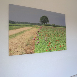 Bőségfa nyuszival mákmezőn, nem csak Húsvétra - vászonkép (tájkép) - művészet - fotográfia - tájkép - Meska.hu