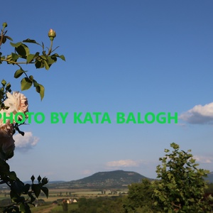 Rózsakék balatoni égbolt - vászonkép égszínkék balatoni égben illatozó rózsákkal - művészet - fotográfia - tájkép - Meska.hu