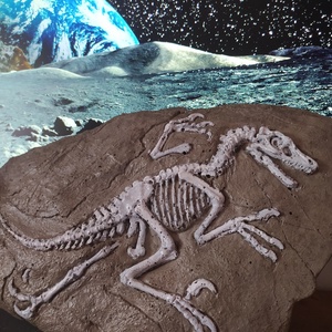 Dinoszaurusz Raptor fosszília   - otthon & életmód - dekoráció - dísztárgy - Meska.hu