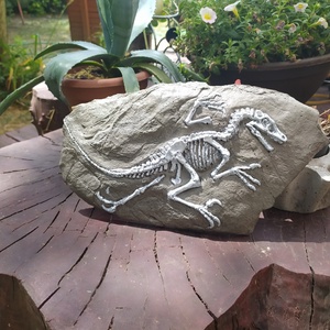 Dinoszaurusz Raptor fosszília  , Otthon & Életmód, Dekoráció, Dísztárgy, Festett tárgyak, Mindenmás, MESKA