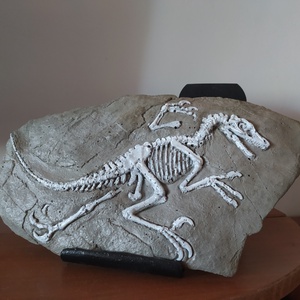 Dinoszaurusz Raptor fosszília   - otthon & életmód - dekoráció - dísztárgy - Meska.hu
