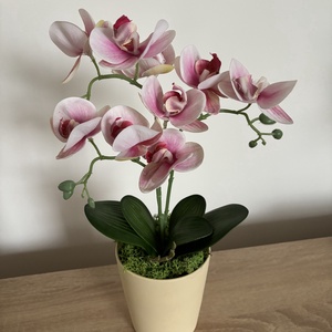 Élethű rózsaszín orchidea , Otthon & Életmód, Dekoráció, Asztal és polc dekoráció, Asztaldísz, , MESKA