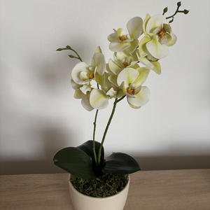 Zöldes élethű orchidea , Otthon & Életmód, Dekoráció, Ajtó- és ablak dekoráció, Ajtódísz & Kopogtató, , MESKA