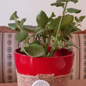 Tulipános gomb - 4 db - ékszer - kitűző és bross - Meska.hu