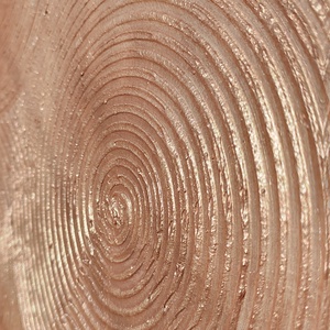 The Rosegold  - művészet - festmény - festmény vegyes technika - Meska.hu