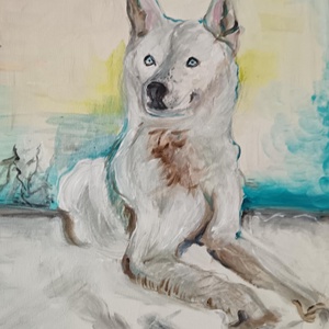 Husky kutya - Meska.hu