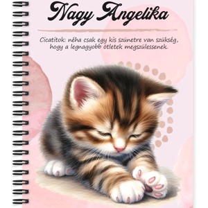 Személyre szabható - Pacsis vörös cicus mintás A5-ös füzet, Otthon & Életmód, Papír, írószer, Jegyzetfüzet & Napló, , MESKA