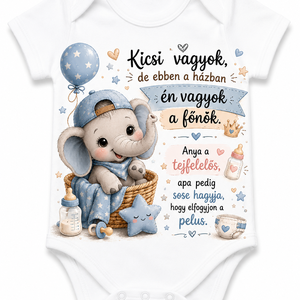 Kicsi vagyok, de én vagyok a főnök body - baba - mama - babaruházat - baba body - Meska.hu