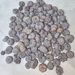 Mini tök termés - szürke 2,5 dkg, Kellékek & szerszámok, Dekorációs kellékek, Termések, terméscsomagok, , MESKA