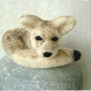 Fennec Fox / Sivatagi róka - Meska.hu