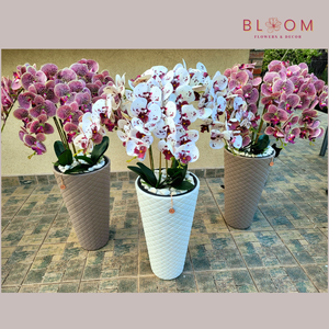 Állókaspós, Locsolásmentes Orchidea Dekoráció - Meska.hu