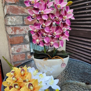 Csónakorchidea magasfényű kaspóban - Meska.hu