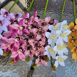 Csónakorchidea kaspóban  - otthon & életmód - dekoráció - virágdísz és tartó - virágállvány - Meska.hu