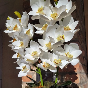 Csónakorchidea kaspóban  - otthon & életmód - dekoráció - virágdísz és tartó - virágállvány - Meska.hu