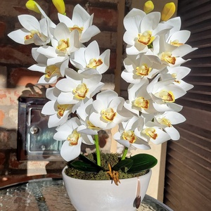 Csónakorchidea kaspóban  - otthon & életmód - dekoráció - virágdísz és tartó - virágállvány - Meska.hu