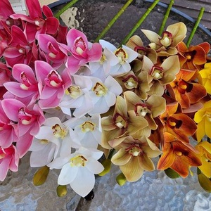 Csónakorchidea kaspóban  - otthon & életmód - dekoráció - virágdísz és tartó - virágállvány - Meska.hu